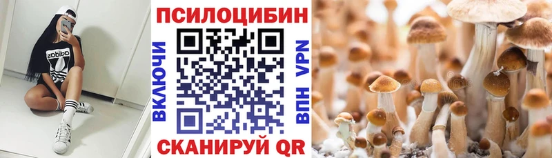 Галлюциногенные грибы GOLDEN TEACHER  Купить закладки  Микунь 